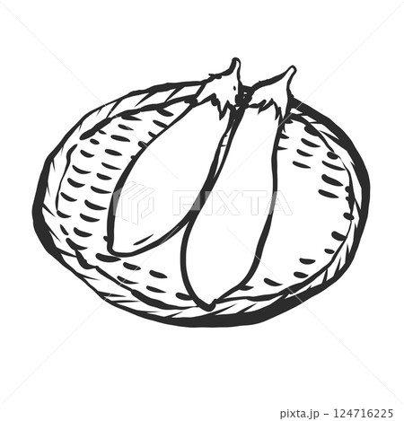 なすの手描き筆絵風イラスト なすの手描き筆絵風イラスト 124716225