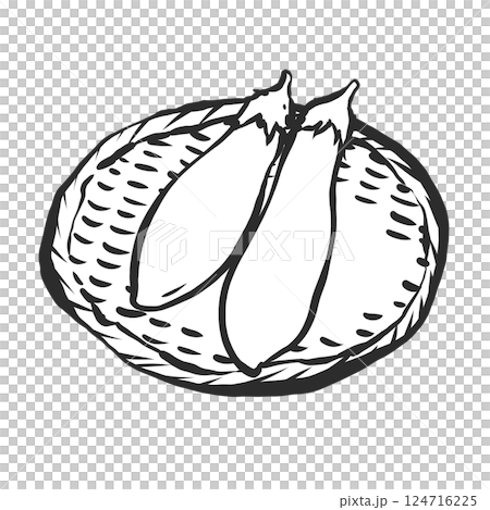 茄子手繪插圖 124716225