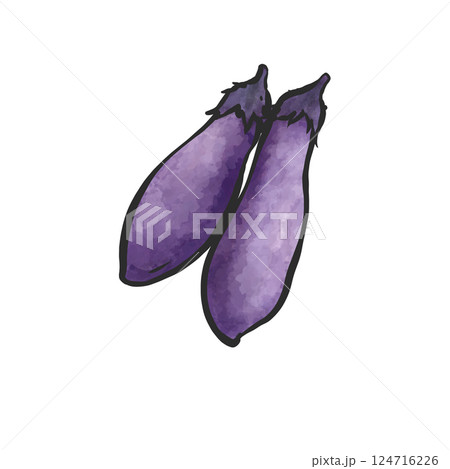 なすの手描き筆絵風イラスト なすの手描き筆絵風イラスト 124716226