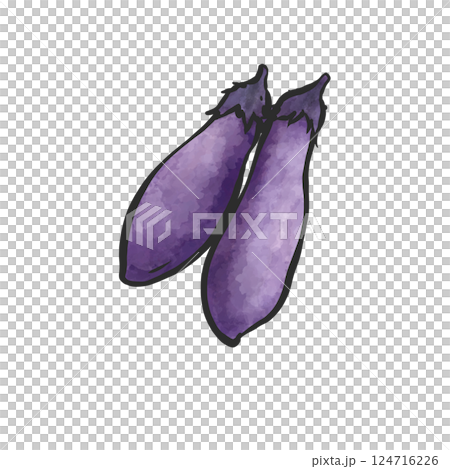 Eggplant hand-drawn illustration 124716226