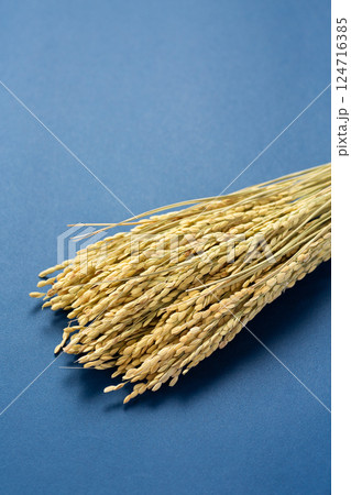 お米の稲穂 124716385