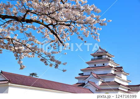 春 桜 会津若松城 春 桜 会津若松城 124716399