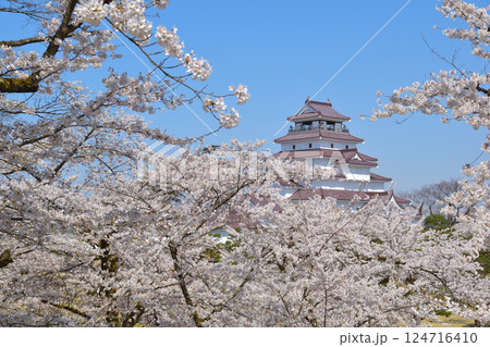 桜景　会津若松城 124716410