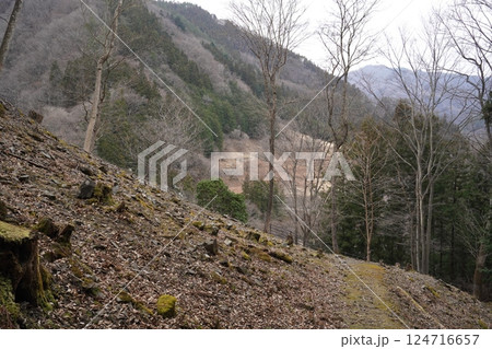 群馬県上野村　野栗沢の福寿草群生地（下部群生地）付近から下山方向を見る　　2025年3月24日 124716657
