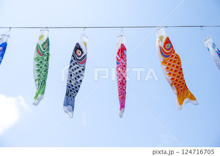 こいのぼり 鯉のぼり 5月5日 こどもの日 行事 5月 イメージ 124716705