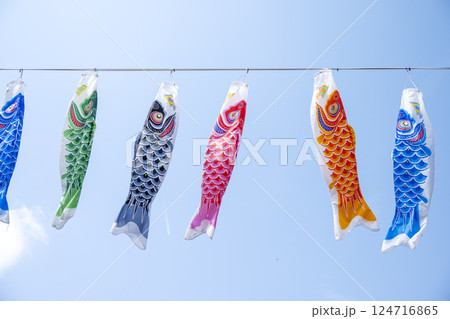 こいのぼり 鯉のぼり 5月5日 こどもの日 行事 5月 イメージ 124716865