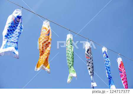 こいのぼり 鯉のぼり 5月5日 こどもの日 行事 5月 イメージ 124717377