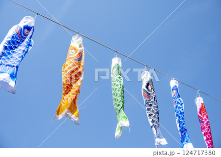 こいのぼり 鯉のぼり 5月5日 こどもの日 行事 5月 イメージ 124717380