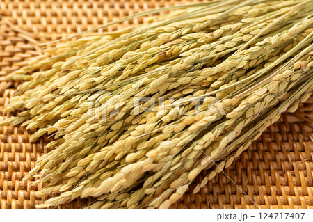 お米の稲穂 124717407