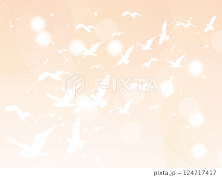 羽 124717417