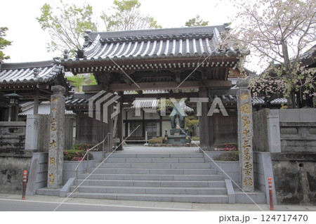 四国霊場第13番札所「大日寺」薬医門 四国霊場第13番札所「大日寺」薬医門 124717470