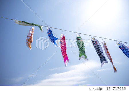 こいのぼり 鯉のぼり 5月5日 こどもの日 行事 5月 イメージ 124717486