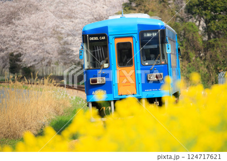 春爛漫の甘木鉄道 124717621