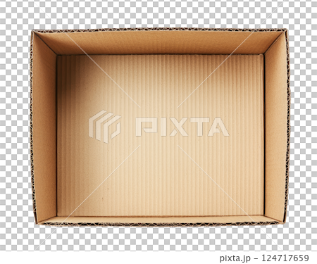 Empty Cardboard Box 124717659