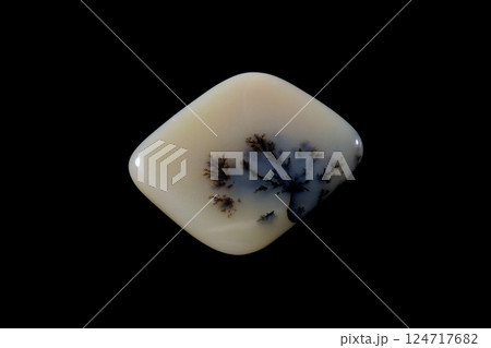 デンドリティック・アゲート 風景を宿す石 124717682