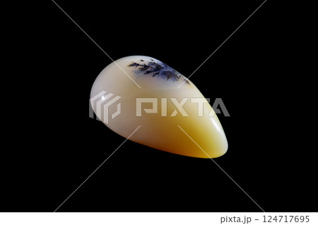 デンドリティック・アゲート 風景を宿す石 124717695