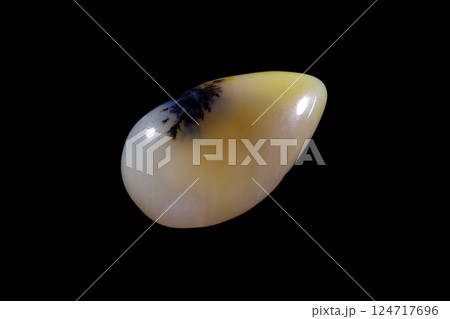 デンドリティック・アゲート 風景を宿す石 デンドリティック・アゲート 風景を宿す石 124717696