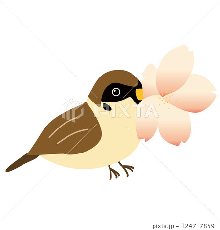 桜の花を咥える雀 124717859