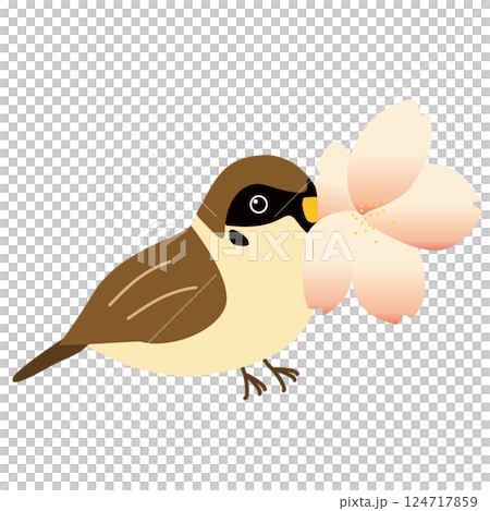 一隻麻雀叼著一朵櫻花 124717859