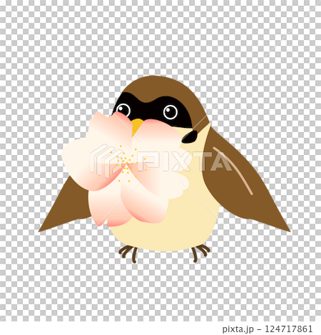 A sparrow holding a cherry blossom in its mouth 124717861