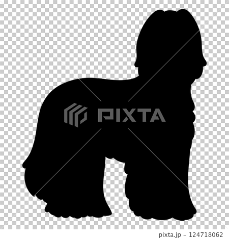 Hand drawn silhouette of an Afghan Hound 124718062