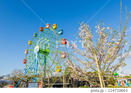 鹿児島県霧島市の城山公園の桜と観覧車の素材写真 鹿児島県霧島市の城山公園の桜と観覧車の素材写真 124718663