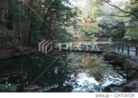 お伊勢参り、伊勢神宮内宮の御池 お伊勢参り、伊勢神宮内宮の御池 124718726