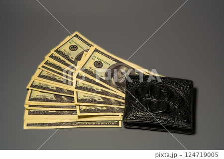 Dollars with a wallet on a black background Dollars with a wallet on a black background 124719005