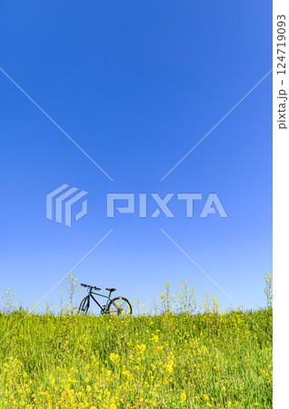 青空と菜の花と自転車(サイクリング) 青空と菜の花と自転車(サイクリング) 124719093