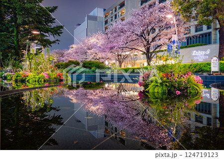 東京ミッドタウン　満開の桜 124719123