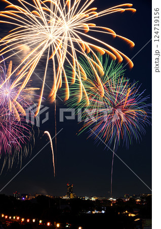 夜空に打ち上がる大花火（戸田橋花火大会・いたばし花火大会） 124719156