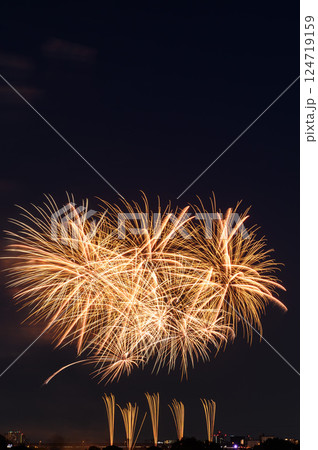 夜空に打ち上がる大花火（戸田橋花火大会・いたばし花火大会） 124719159