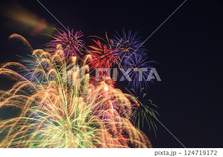 夜空に打ち上がる大花火（戸田橋花火大会・いたばし花火大会） 124719172