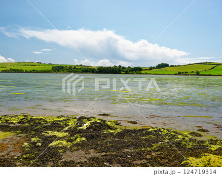 Serene coastal landscape, expansive tidal flats reflecting the sky, picturesque farmland in the distance. Tranquil and peaceful scene ideal for travel, nature, and environmental themes. Serene coastal landscape, expansive tidal flats reflecting the sky, picturesque farmland in the distance. Tranquil and peaceful scene ideal for travel, nature, and environmental themes. 124719314
