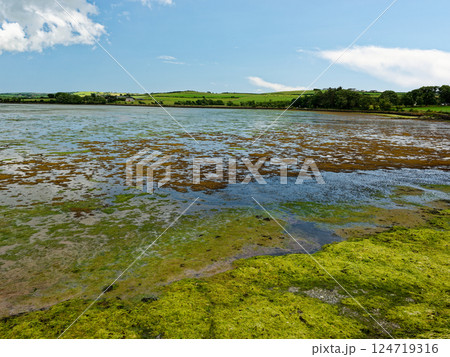 Breathtaking panoramic view of a serene estuary at low tide. Green fields and a charming farmhouse complete this idyllic coastal scene. Ideal for calendars, travel publications. 124719316