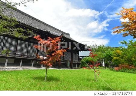 京都 勧修寺の宸殿 京都 勧修寺の宸殿 124719777