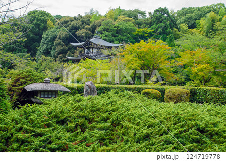 勧修寺型燈籠と観音堂　勧修寺 124719778