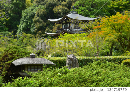勧修寺型燈籠と観音堂　勧修寺 124719779