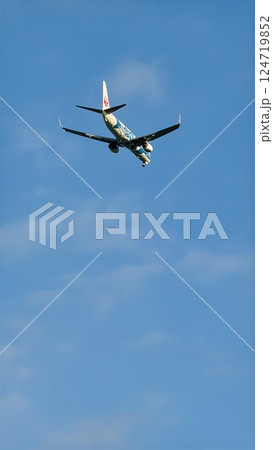 青空を飛ぶ飛行機 ジンベエジェット 124719852