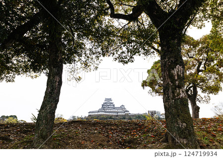 裏から見た兵庫県姫路市にある世界文化遺産である姫路城 裏から見た兵庫県姫路市にある世界文化遺産である姫路城 124719934