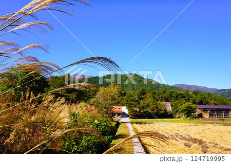荻町合掌造り集落　世界文化遺産　白川郷　茅葺 124719995