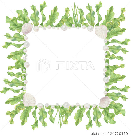 Square frame of watercolor seashell, coral and alga  Square frame of watercolor seashell, coral and alga  124720150