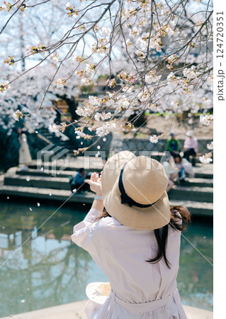 埼玉の元荒川の美しい桜 埼玉の元荒川の美しい桜 124720351