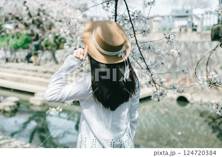 埼玉の元荒川の美しい桜 埼玉の元荒川の美しい桜 124720384