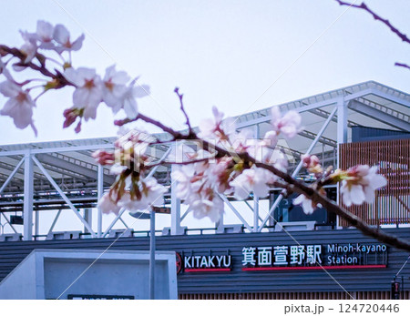北大阪急行、箕面萱野駅と桜 124720446