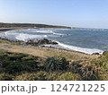 穏やかな海岸線と打ち寄せる波　自然豊かな海の風景 124721225