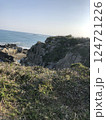 岩場と草原が広がる海岸風景　自然の造形が美しい海辺の景色 124721226