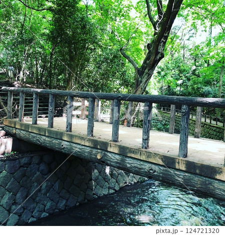 緑に囲まれた木橋と清流 静けさに包まれる自然の風景 緑に囲まれた木橋と清流 静けさに包まれる自然の風景 124721320