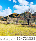 秋色の里山と広がる青空　自然に包まれた穏やかな風景 124721323