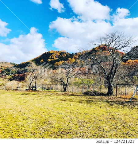 秋色の里山と広がる青空 自然に包まれた穏やかな風景 秋色の里山と広がる青空 自然に包まれた穏やかな風景 124721323